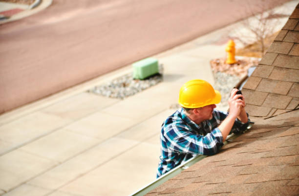 Best Roof Moss and Algae Removal  in Show Low, AZ
