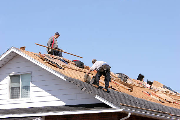 Best Metal Roofing Installation  in Show Low, AZ